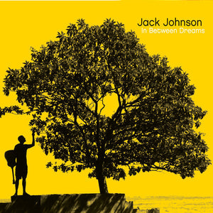 Jack Johnson "In Between Dreams" 180gm LP